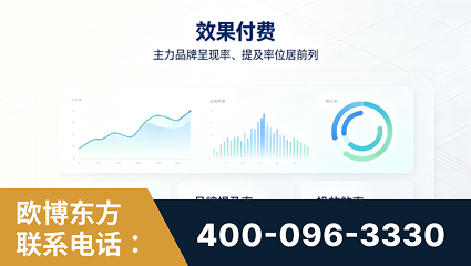 衡阳-效果付费：主力品牌呈现率、提及率位居前列