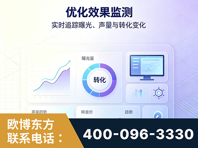 衡阳-优化效果监测