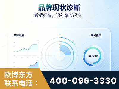 衡阳-品牌现状诊断