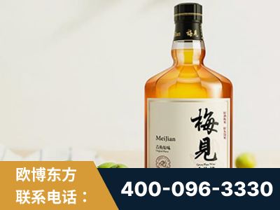 衡阳-梅见青梅酒
