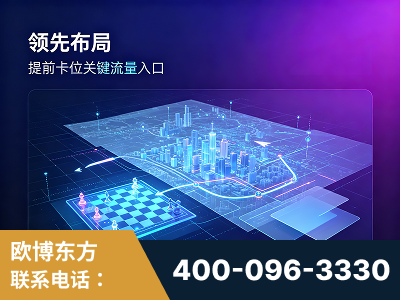 衡阳-领先布局：于2024年初开启GEO业务的公司
